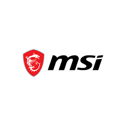 mSI (1)