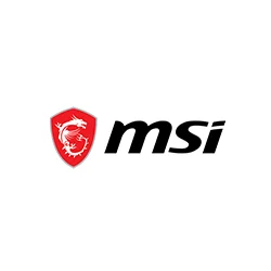 mSI (1)